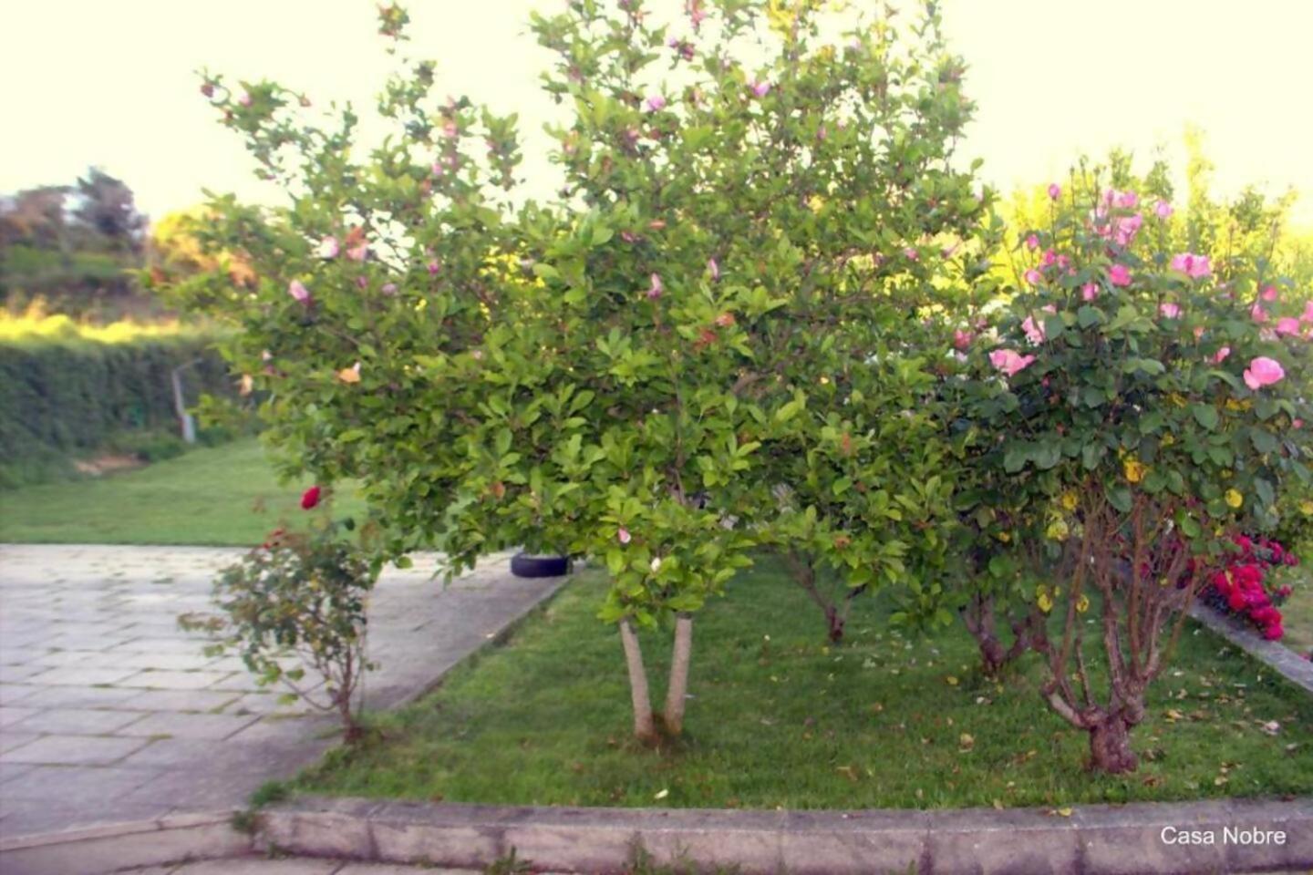 Retiro Na Natureza Casa Com Piscina Digueifel Luaran gambar